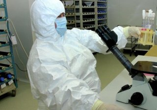 В Псковской области зафиксирована новая вспышка АЧС