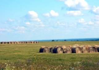 Сельхозпроизводители Костромской области вложили в свое развитие в этом году 340 млн.рублей инвестиций