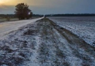 Пятая часть урожая озимых в зоне риска 