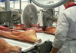 В Калмыкии возводят мясоперерабатывающие предприятия