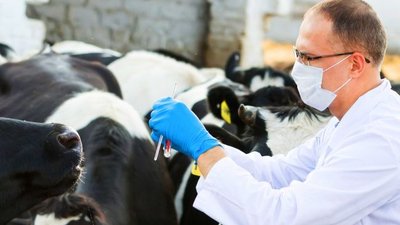 Вопросы производства российских лекарственных препаратов ветеринарного применения, кормов и кормовых добавок станут ключевыми в деловой программе XXVII Международной специализированной выставки «MVC: Зерно-Комбикорма-Ветеринария-2022»