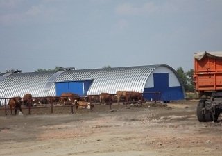 В Омском районе открылась высокотехнологичная молочная ферма