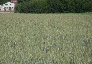 Финансовое здоровье АПК обещаниями не поправишь