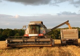 В Саратовской области собрано более 1,5 миллионов тонн зерна