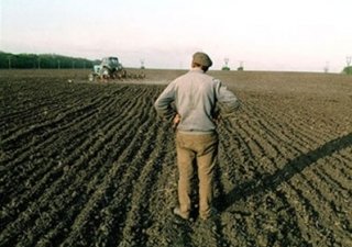 В Хабаровском крае начнут выплачивать погектарные субсидии