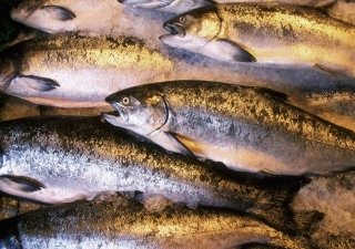 Государственная Дума приняла во втором чтении  проект федерального закона «Об аквакультуре (рыбоводстве) и о внесении изменений в отдельные законодательные акты Российской Федерации»