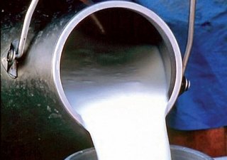 Липецкая «Агро-Ленд» запланировала в регионе молзавод за 250 млн рублей