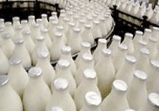 В Подмосковье завершено строительство молочного завода Чебурашкиных
