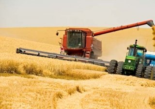 Прогнозы по сбору урожая в 2013 году стали снижаться