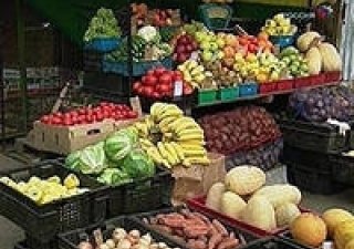В 2014 году рост производства сельхозпродукции Курганской области составит 102,5%