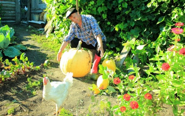 Урожай призов собрали победители конкурса «Я – Фермер»