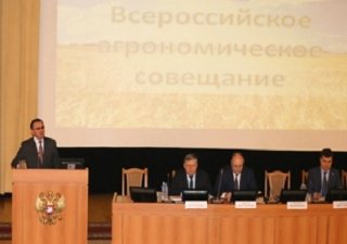 Элитные семена обойдутся аграриям дешевле