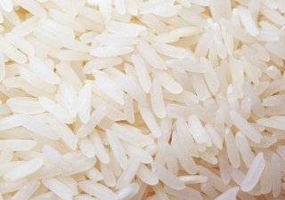 На Кубани собрали рекордный урожай риса