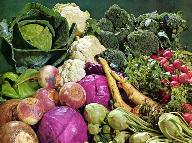 НИИ питания РАМН: органические продукты встраиваются в структуру здорового питания россиян