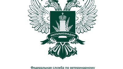 Осторожно, контрафакт!