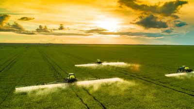 Красноярские фермеры осваивают плюсы  экосистемы Своё Фермерство от Россельхозбанка