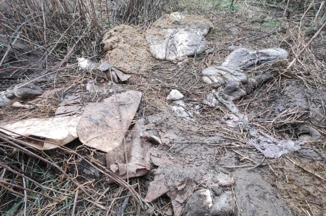 Грубые нарушения при утилизации отходов животноводства выявили экологи на 2 фермах в Курской области