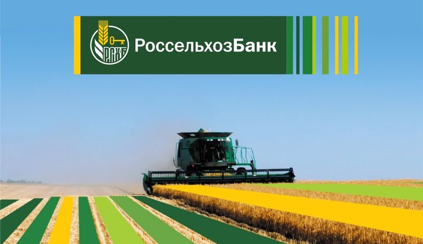 С начала года Россельхозбанк вложил в экономику Кубани 16,5 млрд рублей