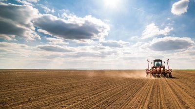 За время работы Россельхозбанка прибыль агробизнеса выросла в 14 раз