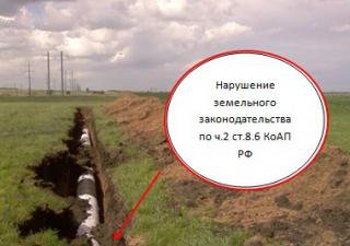 Штраф за порчу земель сельскохозяйственного назначения