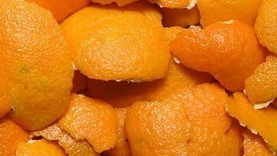 Утилизация отходов цитрусовых плодов