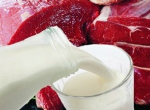 Поставки мяса и молока из Испании будут ограничены