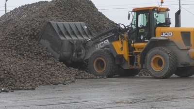 JCB Sugar Master: надёжный помощник при уборке свёклы и не только