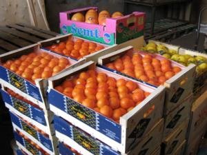 Не известили о поступлении импортной продукции