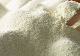 Кыргызстан и Индия договорились построить завод по выпуску сухого молока