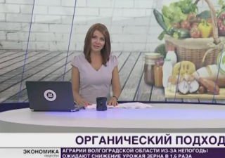 Покупай натуральное: в России вводят закон об органических продуктах