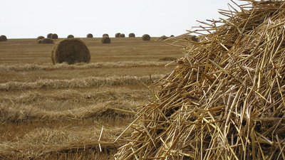Группа компаний "Омега-Софт" представила тезисы своего доклада на конференции АгроУправление 2014
