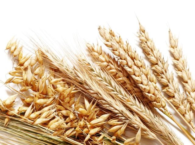 Зерновые рынки избавляются от влияния украинских событий