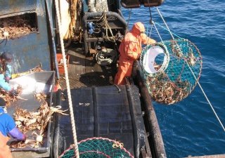 Краболовы оценили финансовые потери от криминализации отрасли