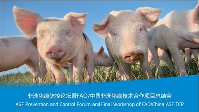 Об участии специалиста ФГБУ «ВНИИЗЖ» в международном форуме «ASF Prevention and Control Forum and Final Workshop of FAO/China ASF TCP»