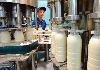 Инновационный молокозавод откроется в Крыму осенью