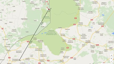 АЧС в Польше вырвалась из карантинной зоны