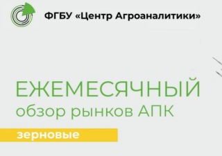 Ежемесячный обзор рынка зерновых за ноябрь 2020 года