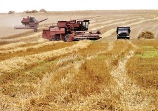 На Дону убрали более 70% площадей