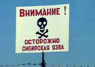 В Ставропольском крае выявлена сибирская язва…