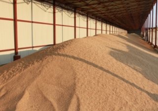 В Ростовской области будут перерабатывать 250 тыс тонн зерна и производить аминокислоты
