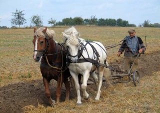 Хабаровские власти выступили за упрощение процедуры выплат фермерам, пострадавшим от паводка