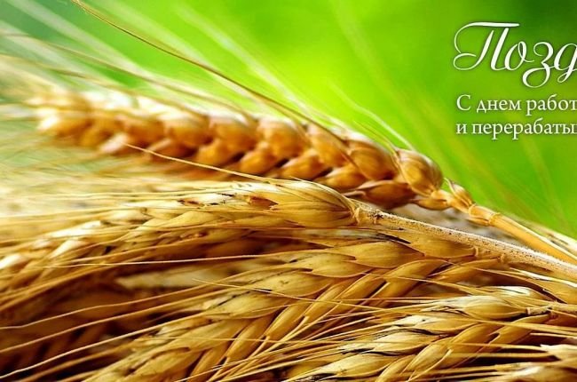 МСЕ «Экспохлеб» поздравляет работников сельского хозяйства и перерабатывающей промышленности с праздником