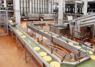 ОАО «Березовский сыродельный комбинат» будет производить сывороточный жировой концентрат