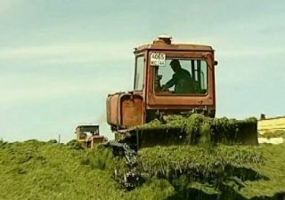 В Костромской области 49 сельхозпредприятий завершили кормозаготовительную кампанию