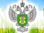 О результатах деятельности отдела надзора за качеством и безопасностью зерна за II квартал 2015г