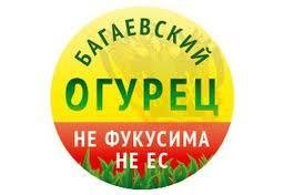 ПАРАД ОГУРЦОВ В БАГАЕВКЕ