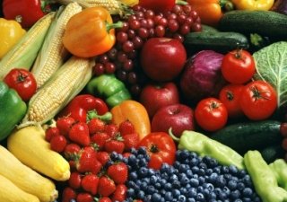 Россия запретила ввоз и транзит растительной продукции из Украины
