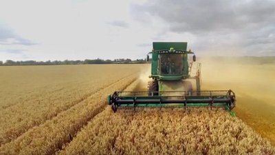 Курский региональный филиал Россельхозбанка выдал аграриям области свыше 6 млрд рублей на проведение сезонных работ