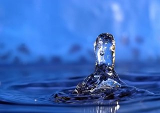 Глава Института водных проблем РАН выступил против торговли пресной водой для сельскохозяйственных нужд