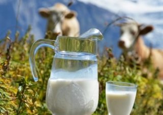 Подмосковным фермерам будут выплачивать бонусы